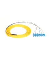 Black Box FOPT50S1-SC-6YL-3 Accessory