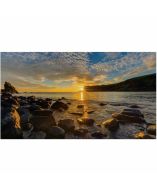 Samsung IF040R Digital Signage Display