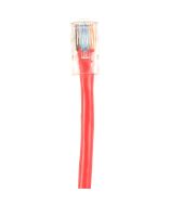 Black Box CAT5EPC-B-002-RD Accessory