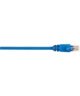 Black Box CAT5EPC-010-BL-10PAK Products