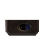 Custom America EVO-BR4 Access Control Reader