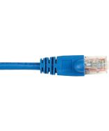 Black Box CAT5EPC-002-BL-10PAK Products