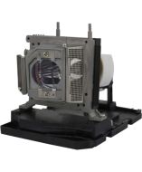BTI 20-01032-20-BTI Products