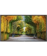 NEC X554HB Products