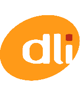 DLI 4101011302301P Accessory