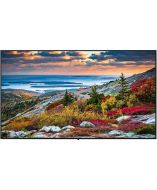 Panasonic TH-43CQE1W Monitor