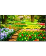 NEC M491-AVT3 Monitor