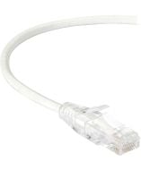 Black Box C6APC28-WH-02 Accessory