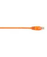Black Box CAT5EPC-015-OR-25PAK Products