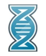 Zebra SW-MDNA-BUNDLE-UPGRD Software