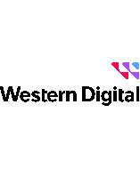 Western Digital WD101PURP-RF Drive