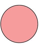 Circle 1415PI Shipping Labels