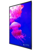 Planar 998-2162-00 Digital Signage Display
