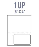 BCI IL15-P Labels