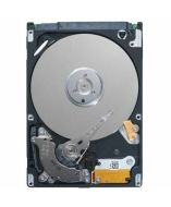 Dell 161-BBEG Drive