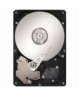 Seagate ST973402SS Drives