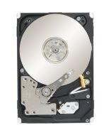 Seagate ST91000640NS Drives