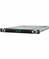 HP P57687-B21 Server