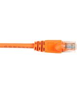 Black Box CAT6PC-015-OR-10PAK Products