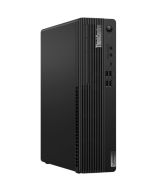Lenovo 11T8001WUS Desktop PC