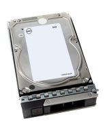 Dell FGDRM Drive