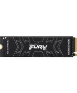 Kingston SFYRS/1000G Drives