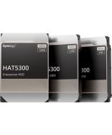 Synology HAT5300-12T Drive