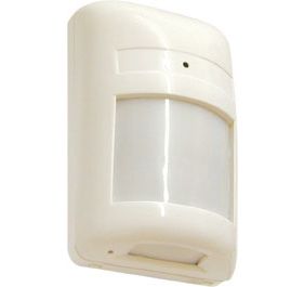 Insite Video Systems 3300-PIR Security Camera