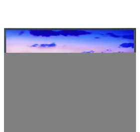 NEC V801 Digital Signage Display