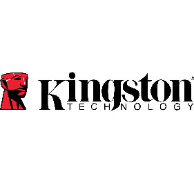 Kingston SKC600MS/256G Drive