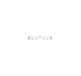 SMARTRAC 3001884 RFID Inlay