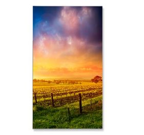 NEC X464UNS Digital Signage Display