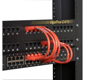 Black Box EVNSL641-06IN Accessory