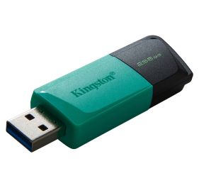 Kingston DTXM/256GB Accessory