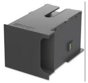 Epson 1589738 Accessory