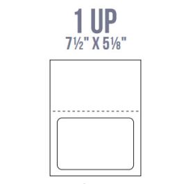 BCI IL18-P Labels