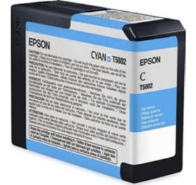 Epson C33S020484 InkJet Cartridge