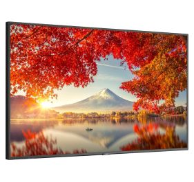 NEC MA551 Monitor
