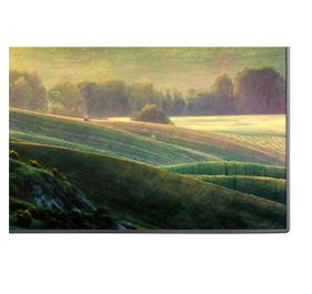 NEC X-Series Digital Signage Display