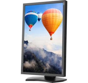 NEC PA302W-BK Monitor