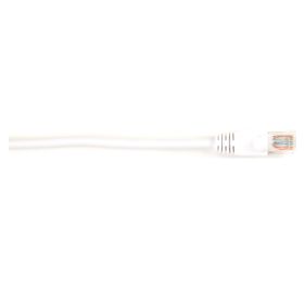 Black Box CAT6PC-010-WH-10PAK Products