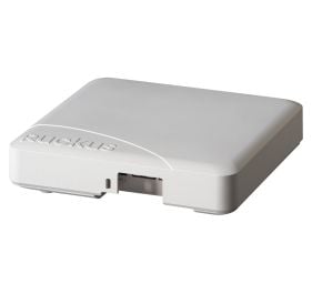 Ruckus 901-R600-WW00 Data Networking
