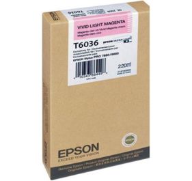 Epson T603600 InkJet Cartridge