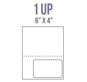 BCI IL15-P Labels