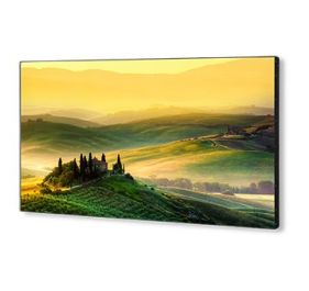 NEC X554UNV Digital Signage Display
