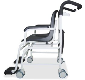 Brecknell 816965004959 Scale