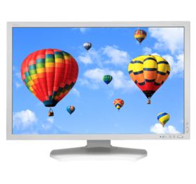 NEC PA302W Monitor