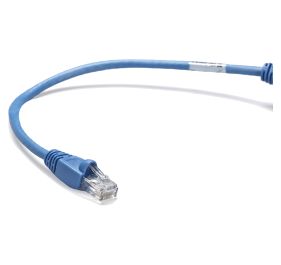 Black Box CAT5EPC-001-BL Products