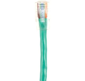 Black Box CAT5EPC-B-010-GN Accessory