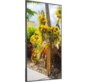 NEC C551 Monitor